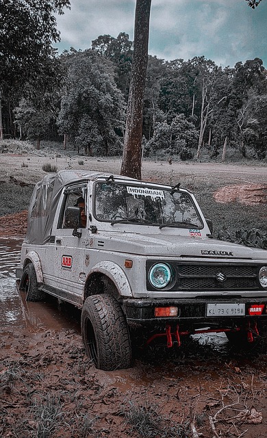 成两次精彩 成两次精彩