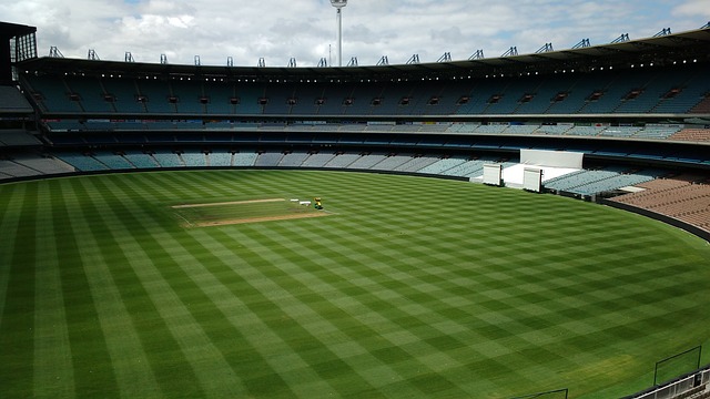 拉拉纳的职 拉拉纳的职