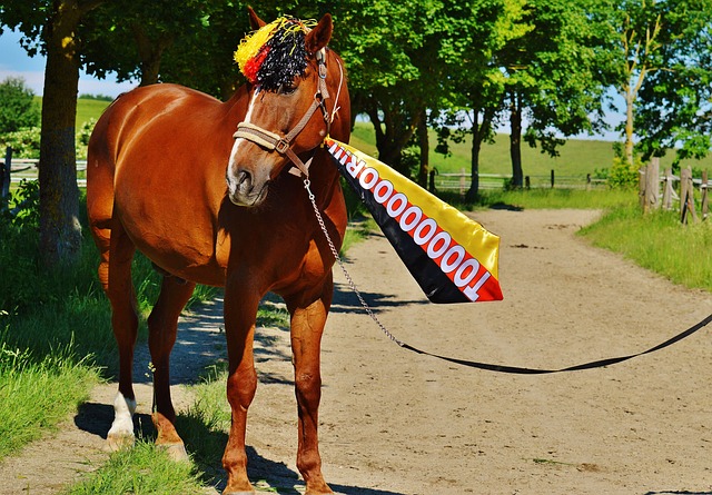 最终夺冠 最终夺冠