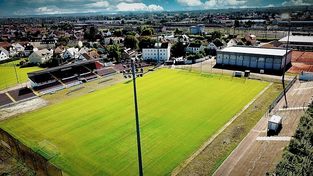 他们的默契 他们的默契