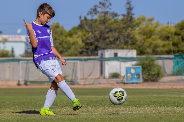 組合的潛力 組合的潛力