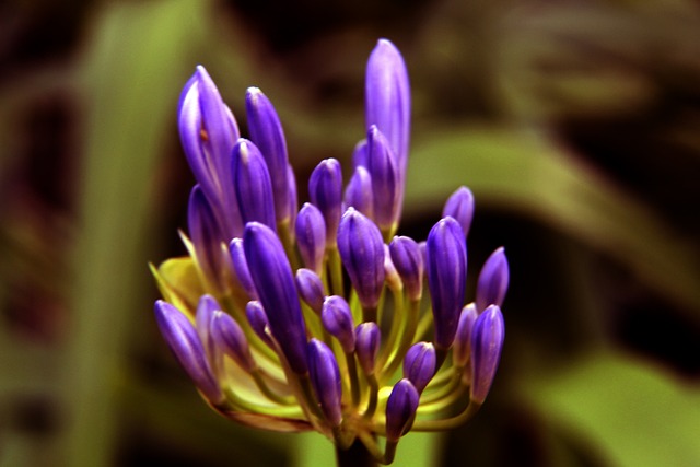 与之形成鲜 与之形成鲜