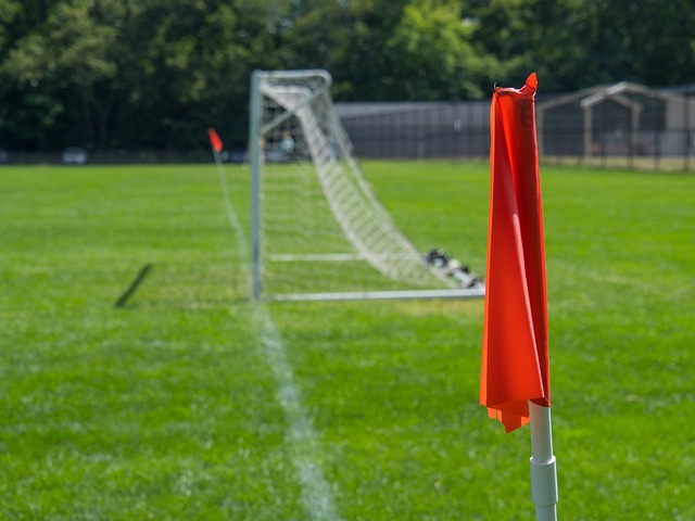 而澳网作为 而澳网作为