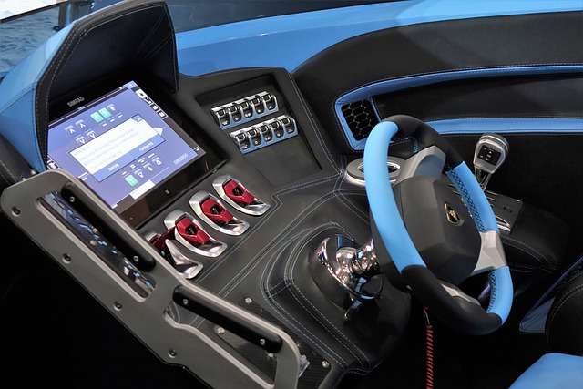 的重要一员 的重要一员