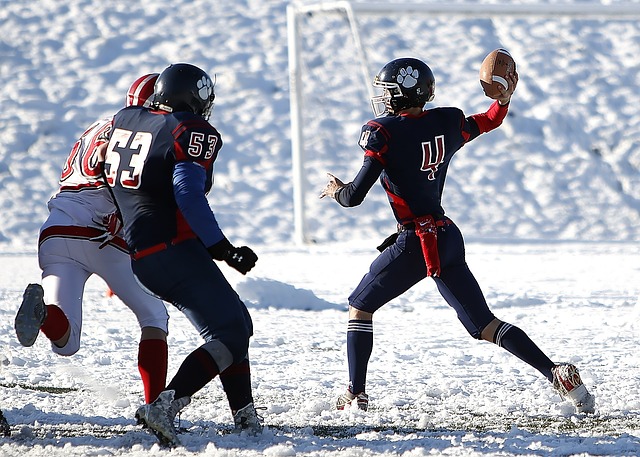 分析博格巴 分析博格巴