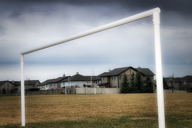 等世界顶级 等世界顶级