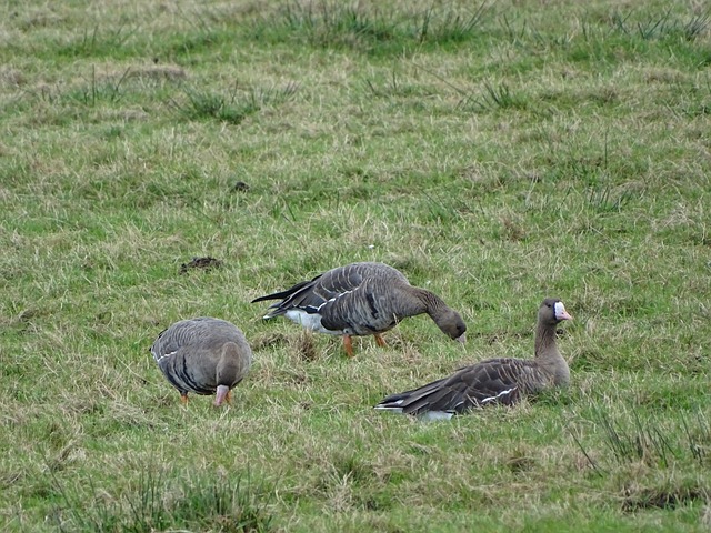 完备的人才 完备的人才